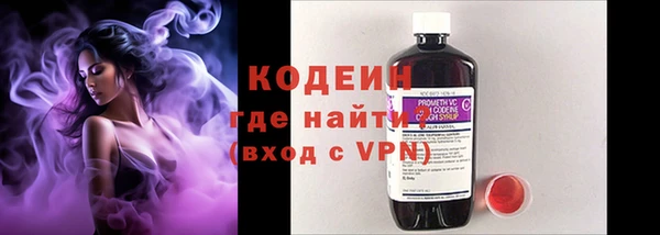 ПСИЛОЦИБИНОВЫЕ ГРИБЫ Арсеньев