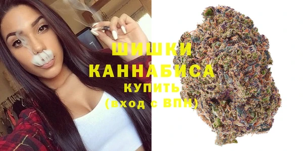 Альфа ПВП Аркадак