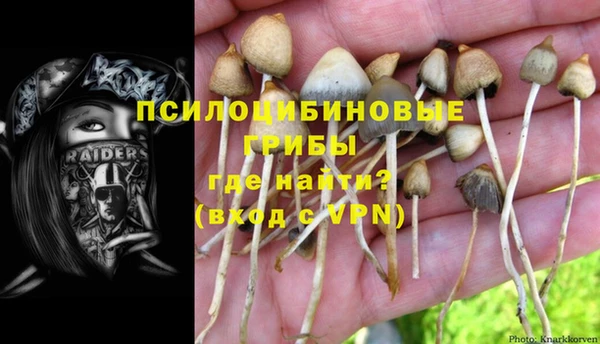 Альфа ПВП Армянск