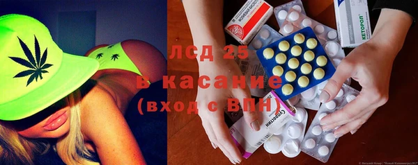 ПСИЛОЦИБИНОВЫЕ ГРИБЫ Арсеньев